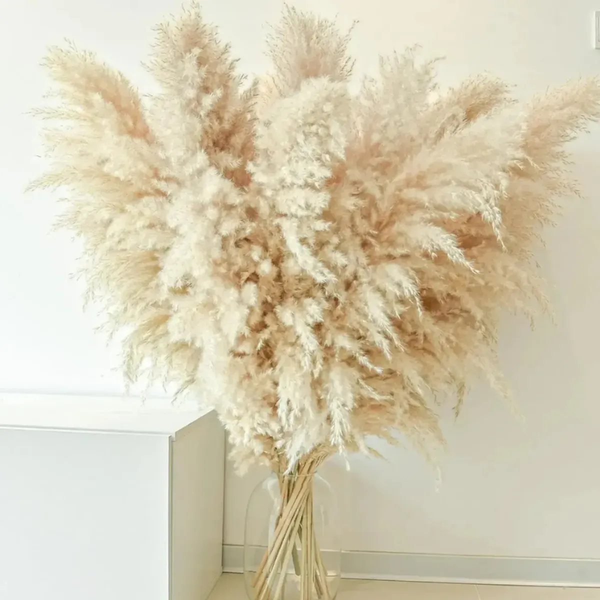 GENERICO - 10 Ramillete De Pampas Naturales O Colas Zorro Decoración