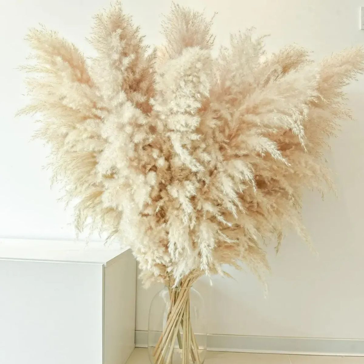 GENERICO - 10 Ramillete De Pampas Naturales O Colas Zorro Decoración