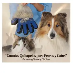 MOVI - Un abrazo que cepilla pelo eliminado con el guante quita pelos, mascota más feliz
