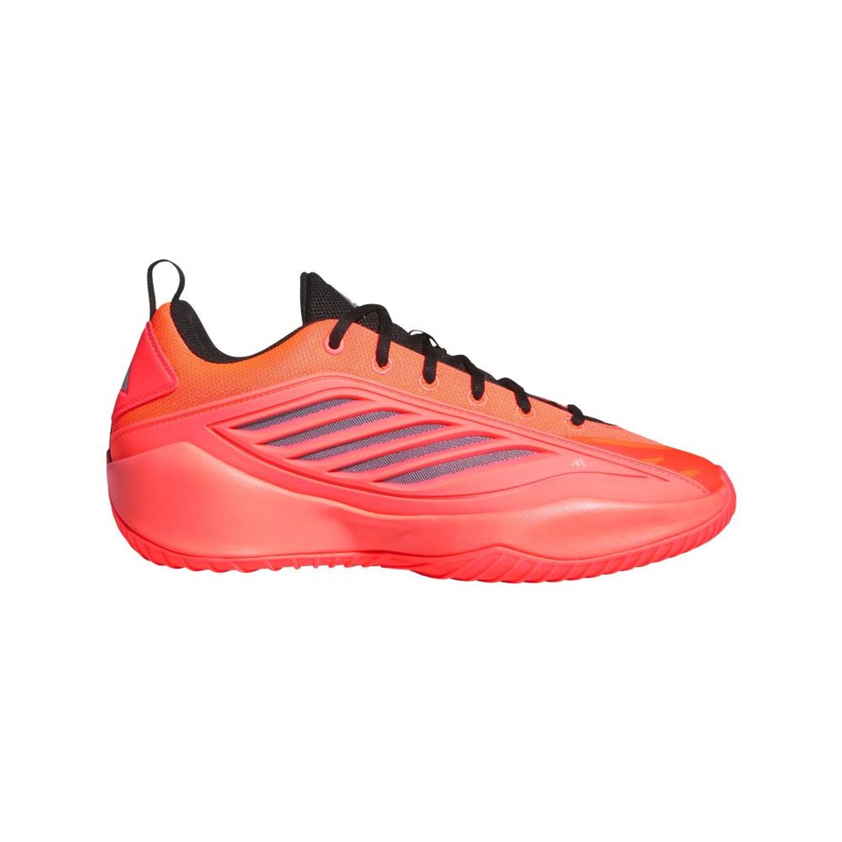 ADIDAS - Zapatillas Básquetbol Unisex adulto