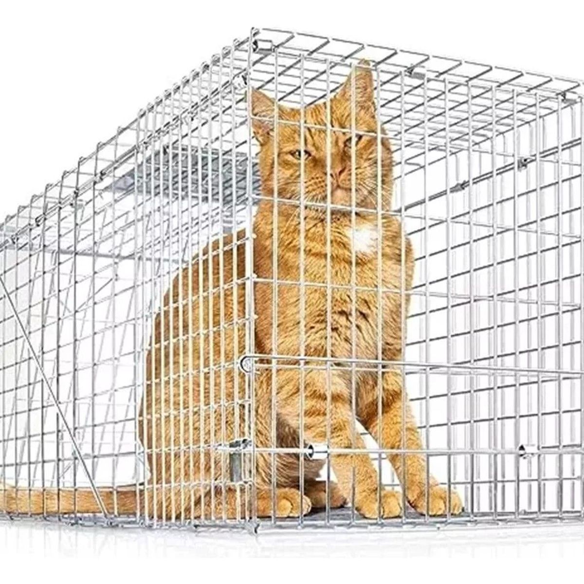 GENERICO - Jaula Trampa Para Captura Gatos 36x34x94cm