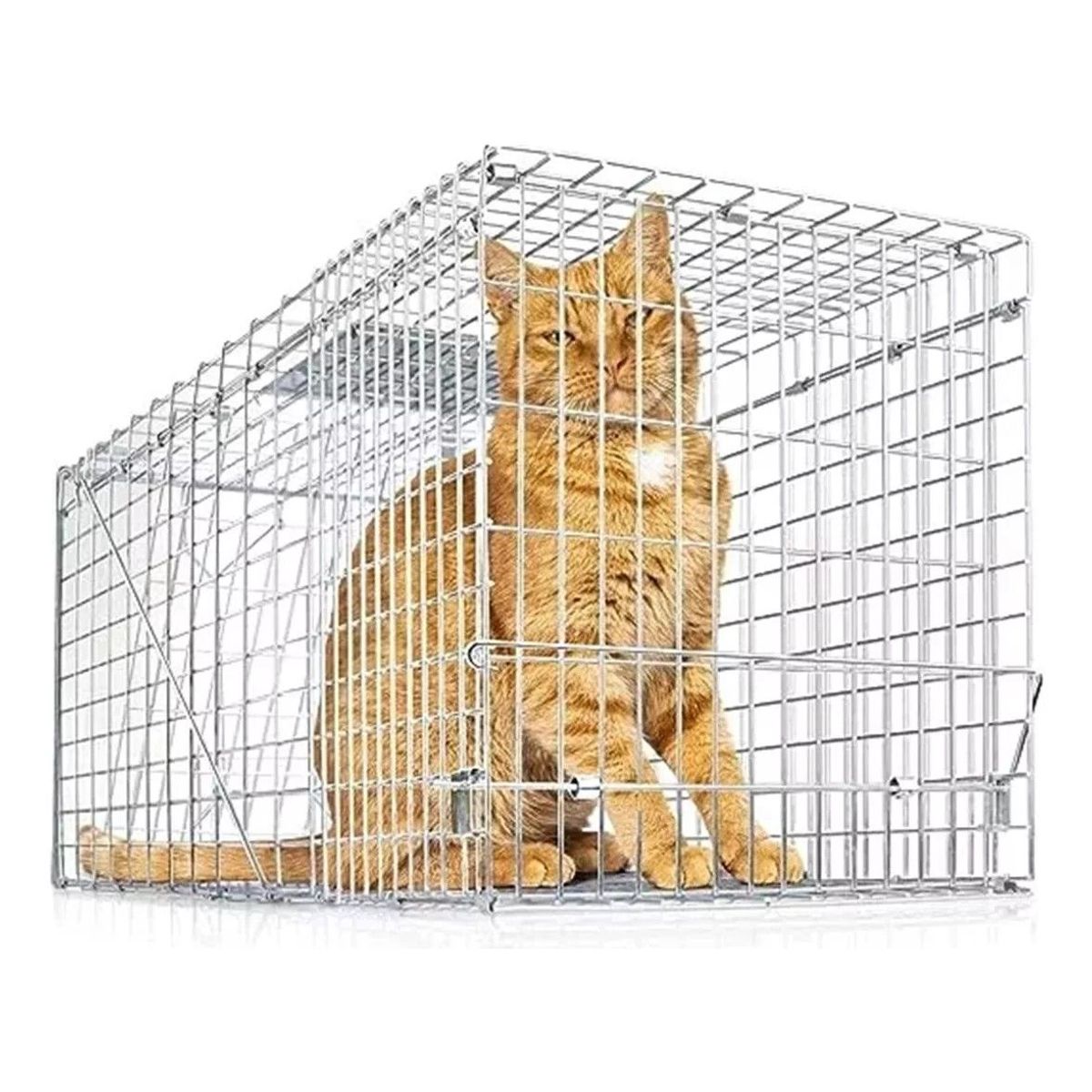 GENERICO - Jaula Trampa Para Captura Gatos 36x34x94cm