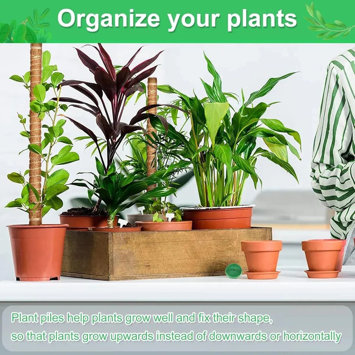 KUANGYE - 21 Kits Tutor De Musgo Soporte Para Plantas 100cm/fibra Coco para Plantas para Interior Jardí