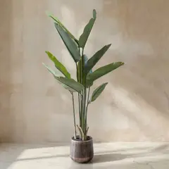 TRIBUS HOME - Planta Artificial Bird of Paradise 160cm Real Touch con Maceta