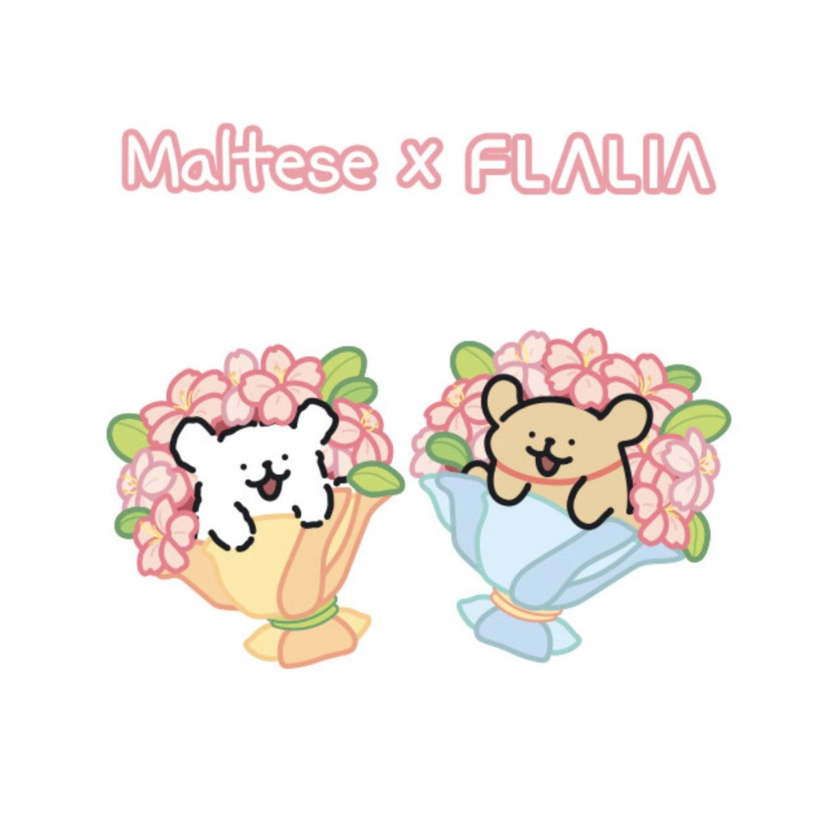 FLALIA - Maltese skin fit makeup puff 2P