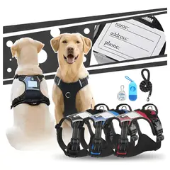 GENERICO - Arnés pechera con LED y correa para perro XL ajustable 5