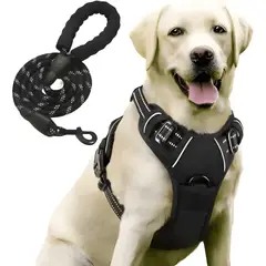 GENERICO - Pechera perro arnés anti tirones reflectante correa 5