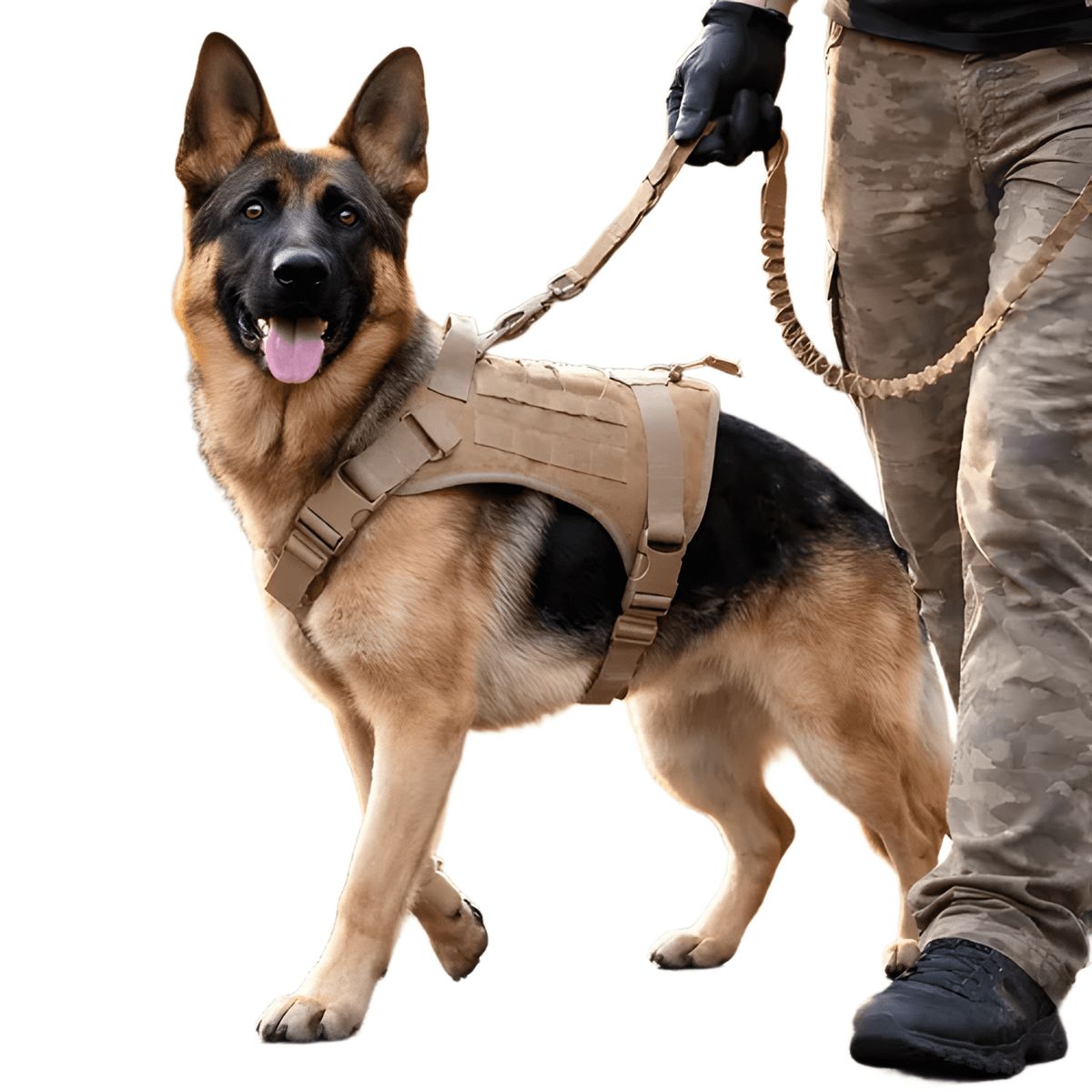 GENERICO - Táctico estable arnés para perros grandes y medianos