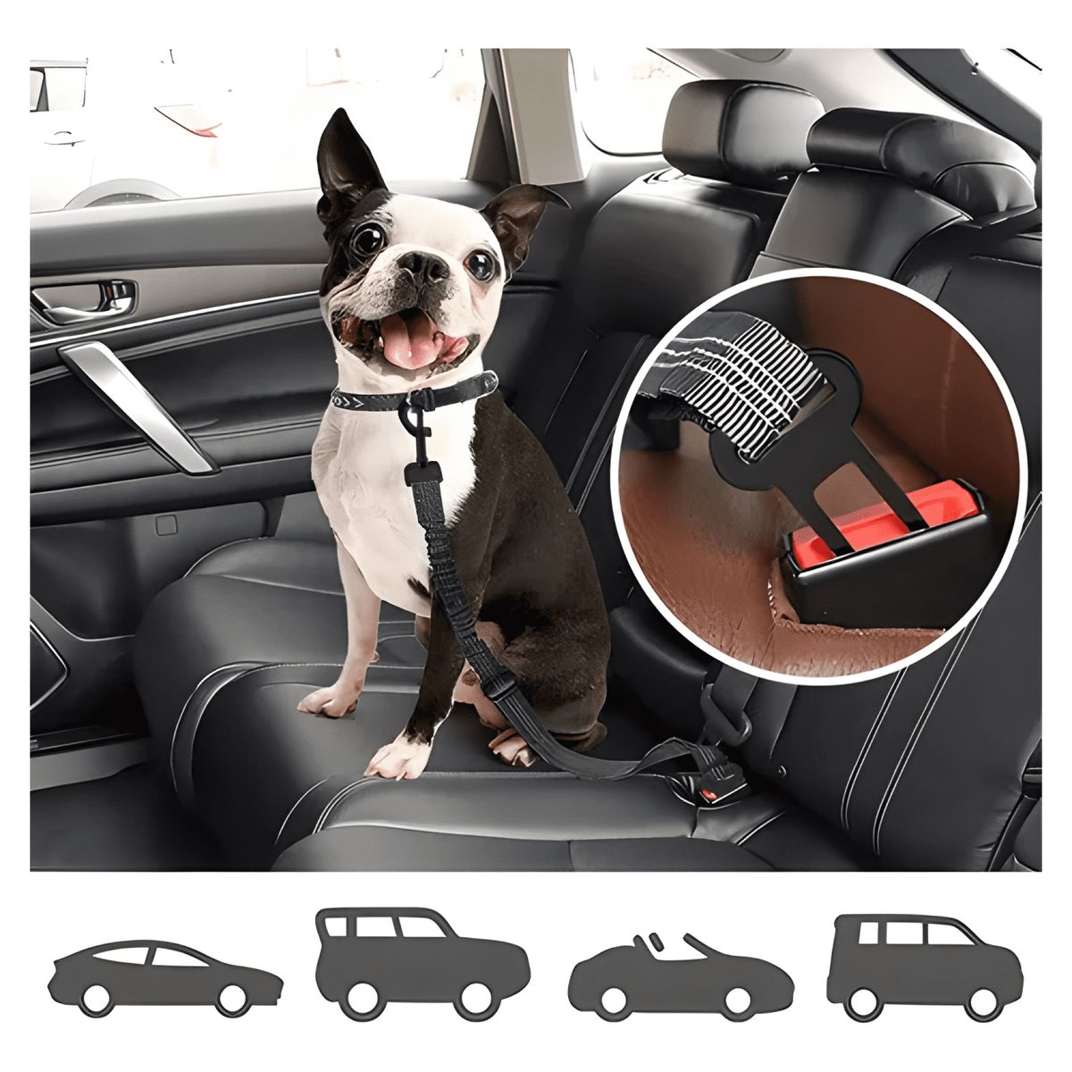 GENERICO - Cinturón de seguridad para mascotas en auto arnés perro auto