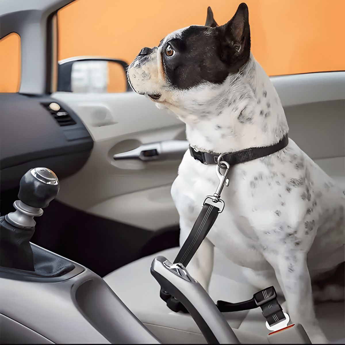 GENERICO - Cinturón de seguridad ajustable para mascotas en auto 2