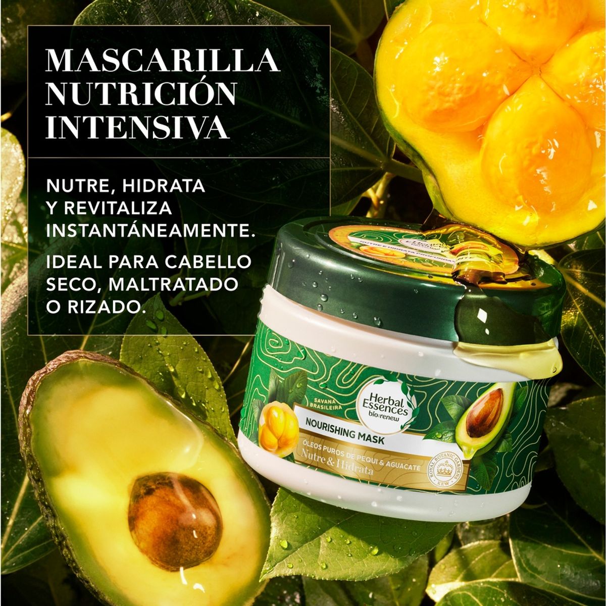 HERBAL ESSENCES - Mascarilla Hidratante Herbal Essences Nutre e Hidrata 300 ml