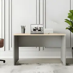 GENERICO - Mesa oficina escritorio melamina 120x60 form Gris