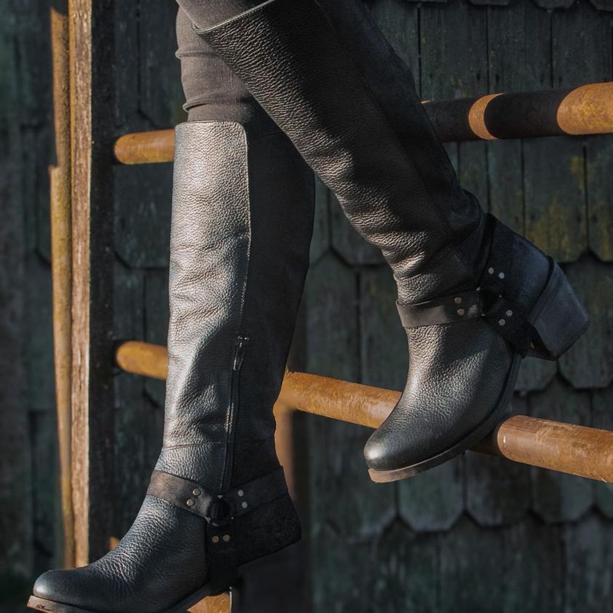 GIANI DAFIRENZE - Bota Mujer / Anemona Negro