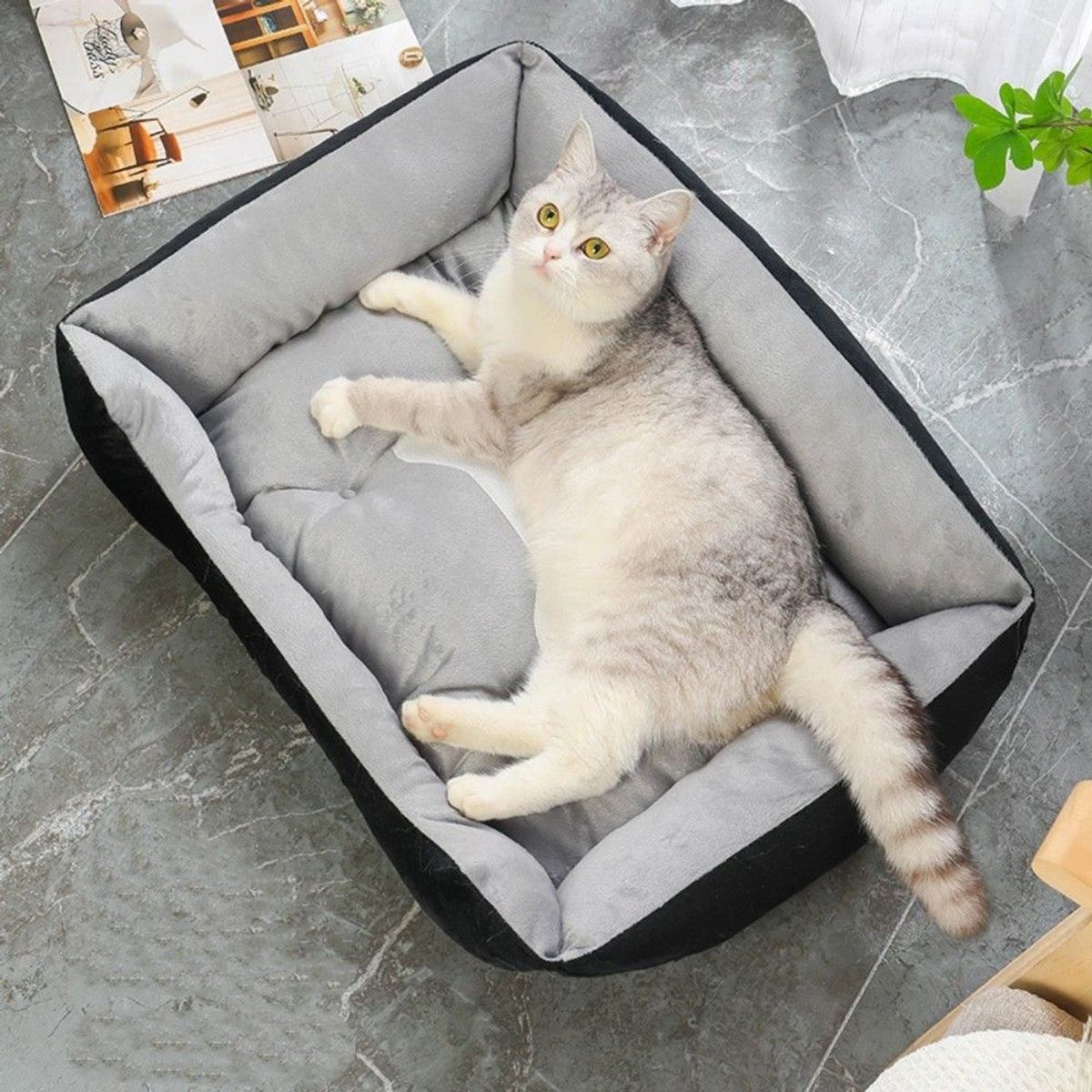 GENERICO - Cama Extra Grande Para Perro Forro Suave Color Negra Gris