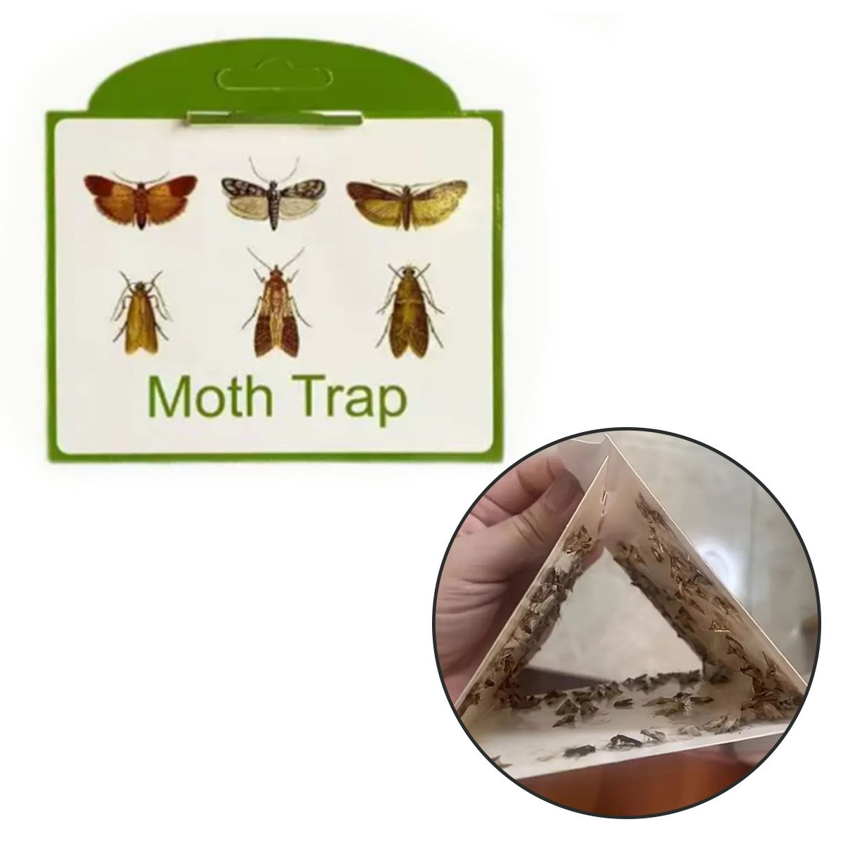 MOONCORE - Trampas Adhesivas para Polillas de Despensa, Pack de 12 Unidades