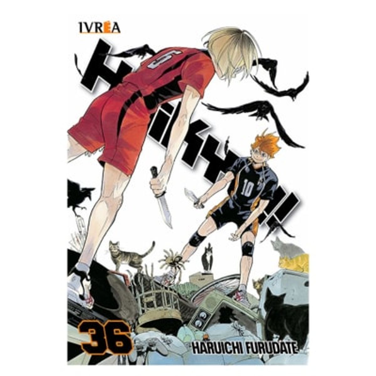 IVREA ARGENTINA - Haikyu!! Tomo 35 - Ivréa Ar
