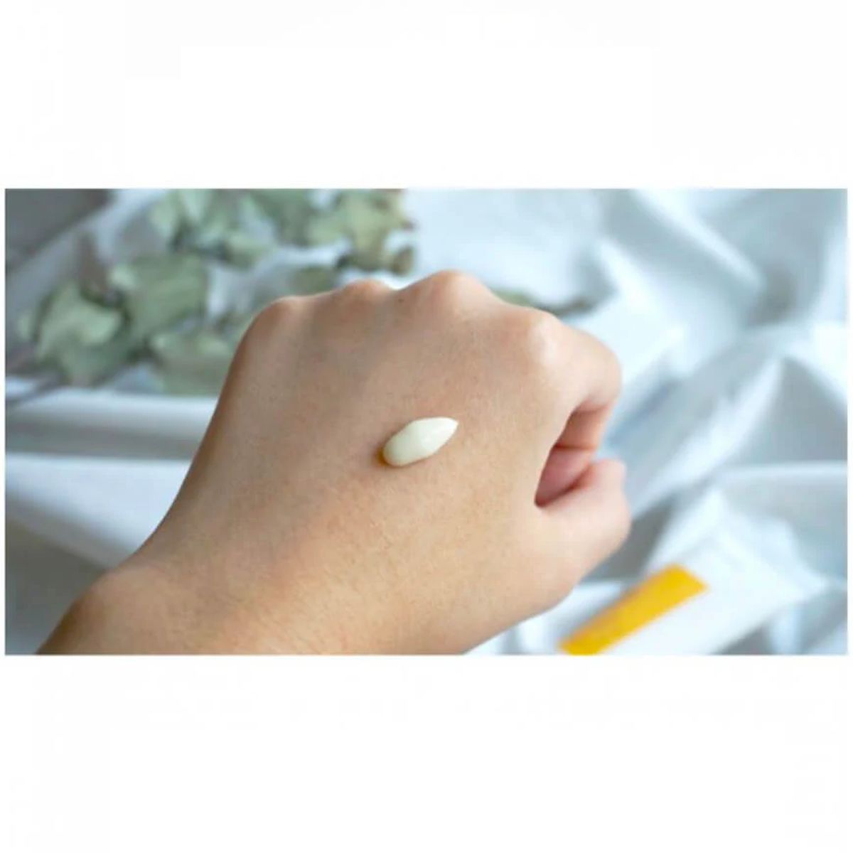 GENERICO - Propolis Vitamin Eye Cream