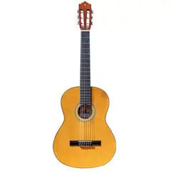 PALMER - Guitarra Clasica PC-13 LB