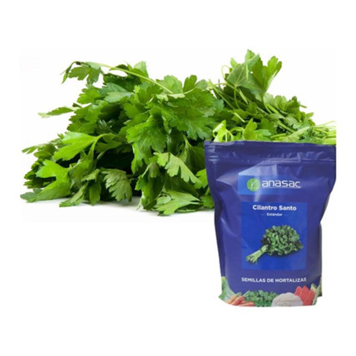 GENERICO - Semillas de Raps Forrajero Goliath TLS Plus x 5 Kg