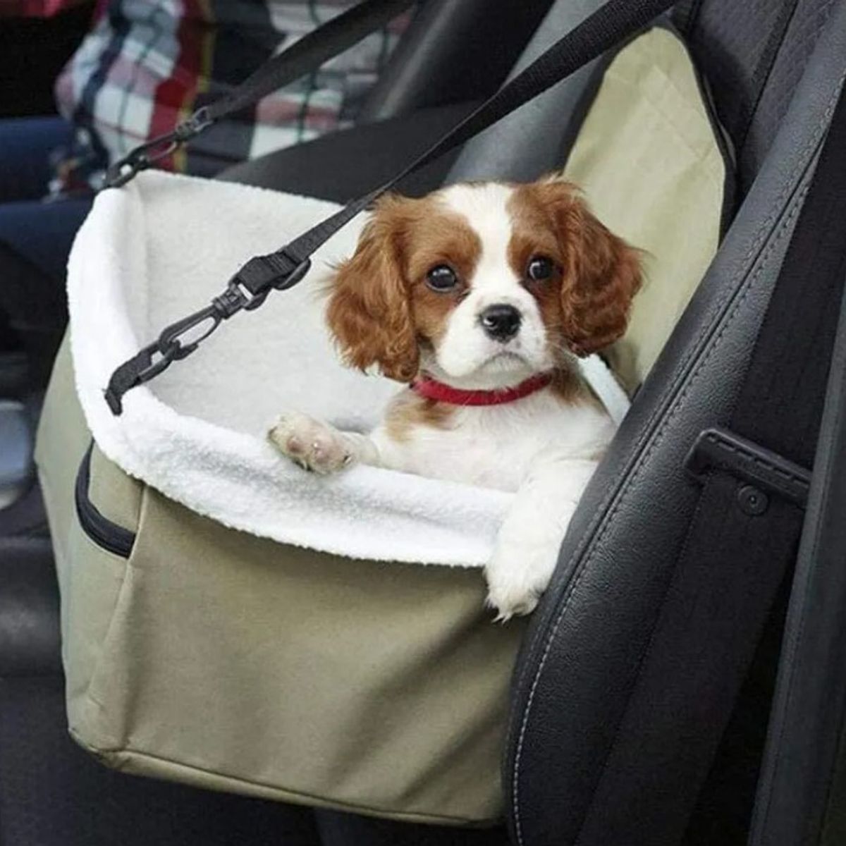 MOVI - Asiento de auto para mascotas