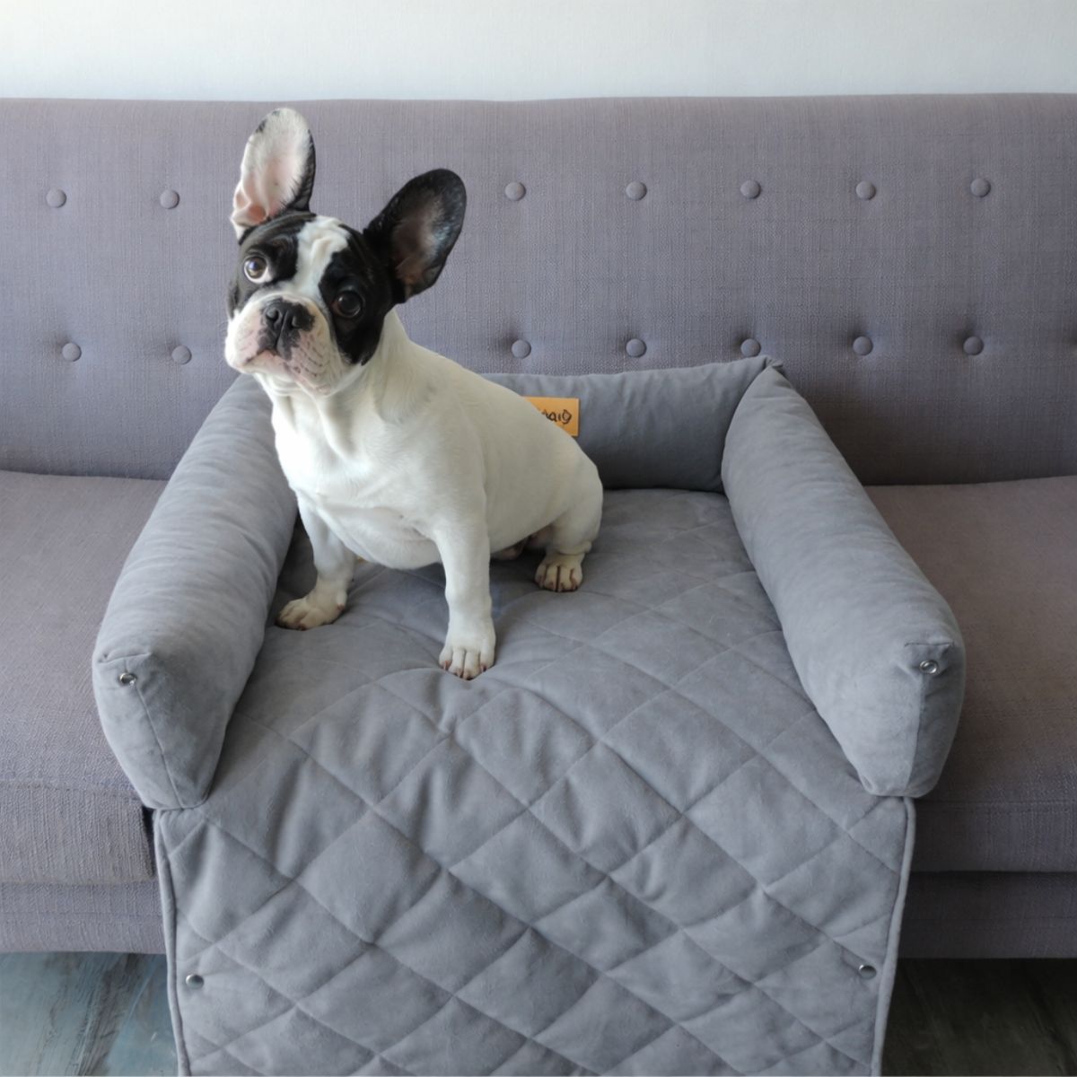 GENERICO - Cama de sofa talla S color Gris