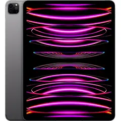 APPLE - IPad Pro 6th Gen, 12,9 pulgadas, Wi-Fi + Cellular, 256GB, Gris Espacial (Reacondicionado)
