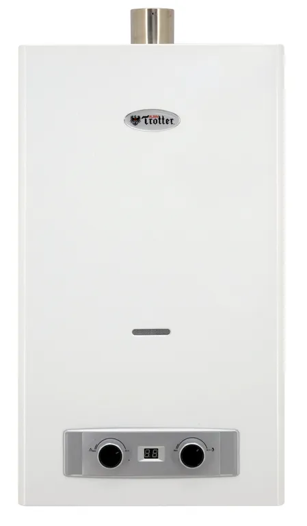 Calefon 10 Litros Tiro Forzado Gas Licuado N20