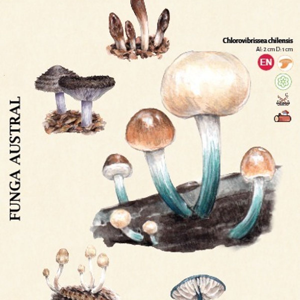 ANTARTICA LIBROS - Funga Austral. Visibles En La Patagonia De Argentina Y Chile