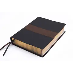 BROADMAN & HOLMAN PUBLISHERS - RVR 1960 Biblia de estudio Spurgeon, negro/marrón símil piel