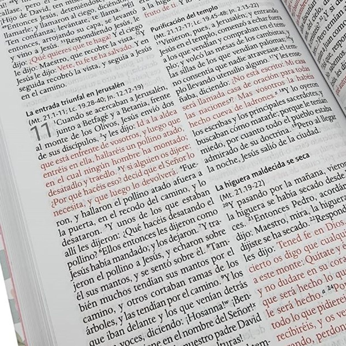 ORIGEN - Biblia Reina Valera 1960 letra grande, tamaño manual, tapa dura rosas rosadas