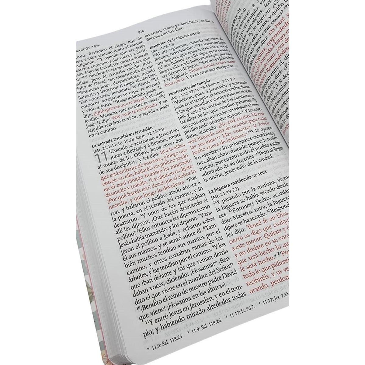 ORIGEN - Biblia Reina Valera 1960 letra grande, tamaño manual, tapa dura rosas rosadas