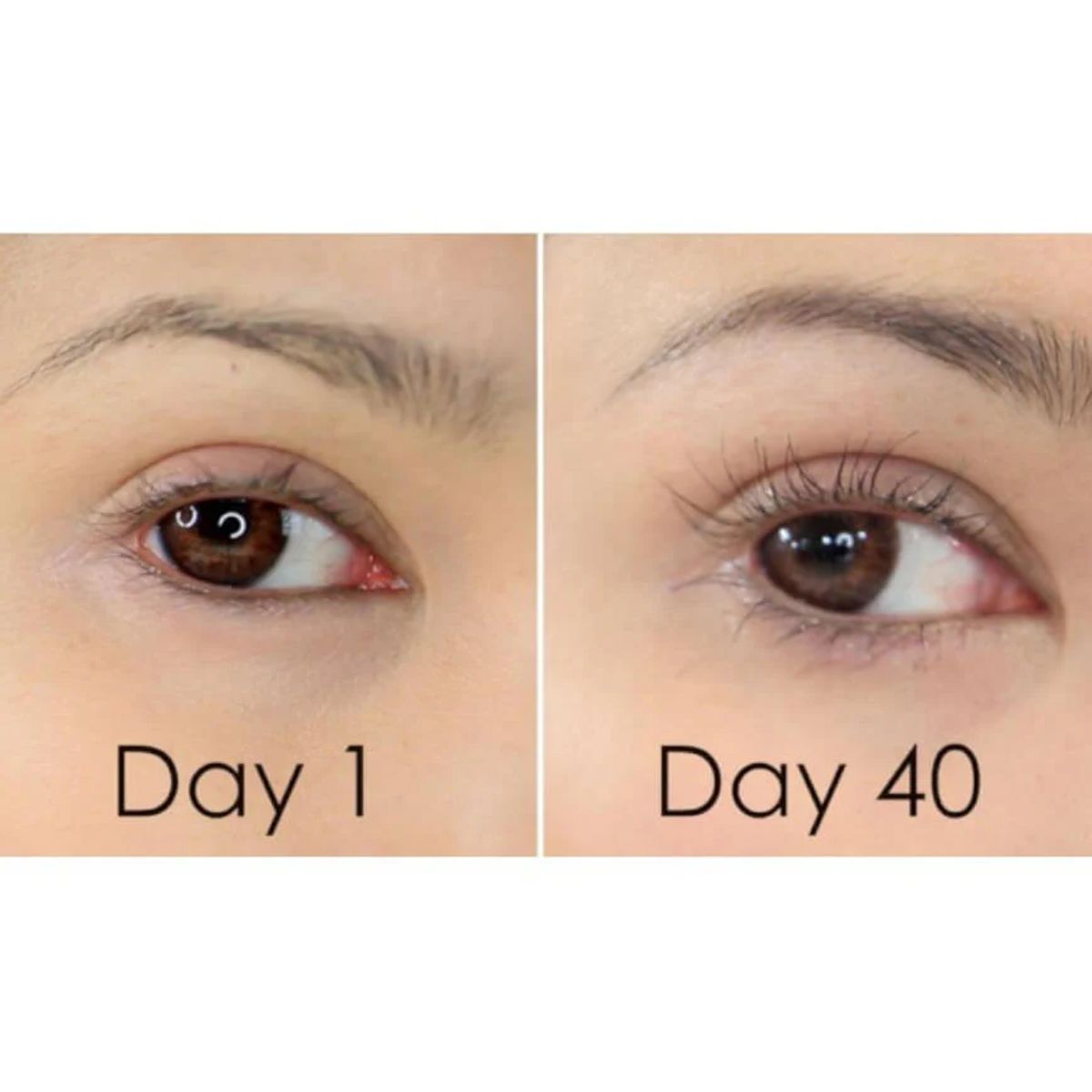 ETUDE HOUSE - My Lash Serum Etude House