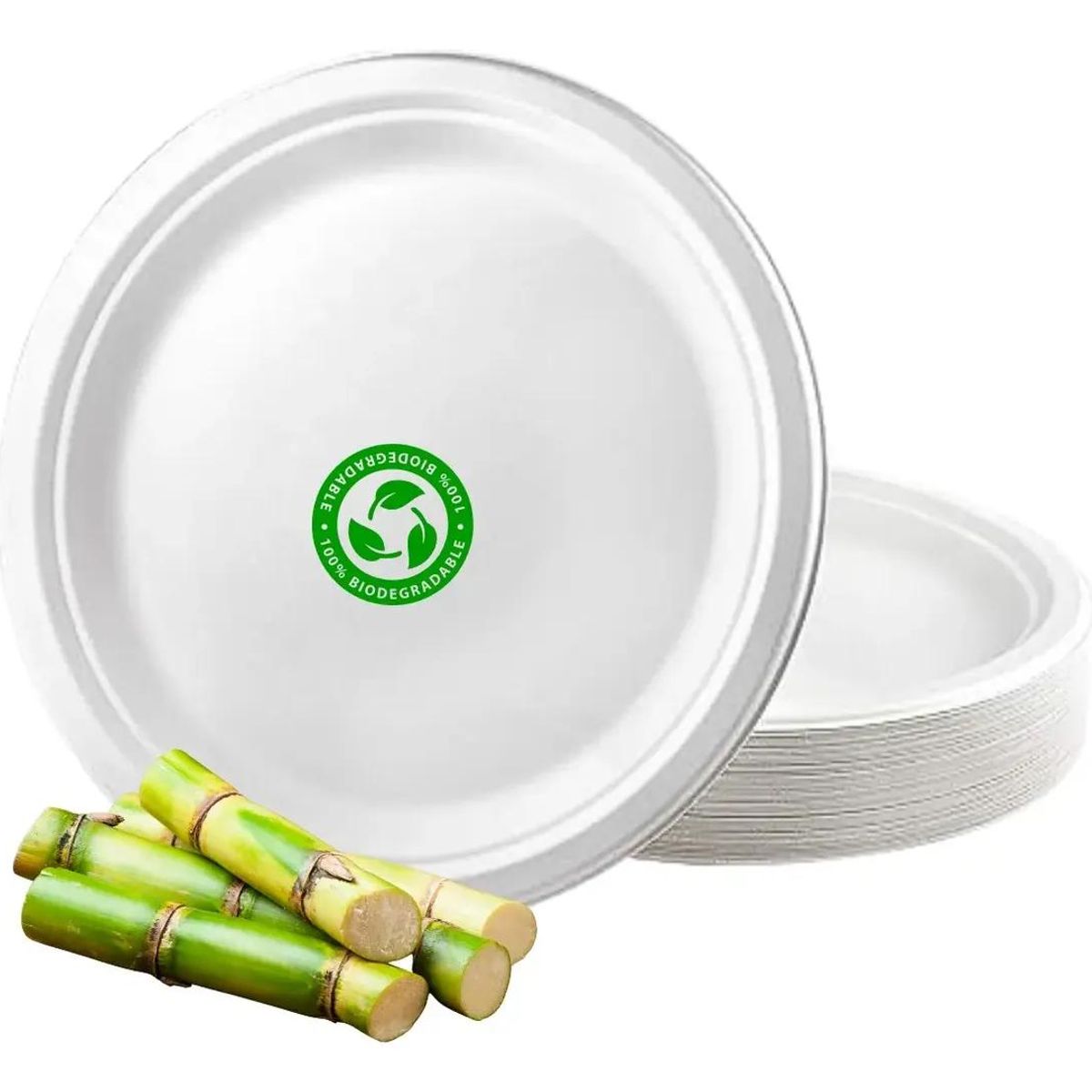 GENERICO - Platos biodegradables desechables 23 cm pack 100