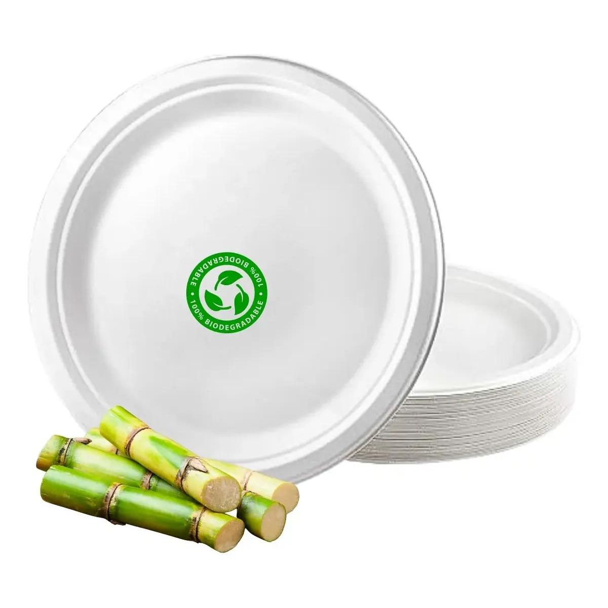 GENERICO - Platos biodegradables desechables 23 cm pack 100