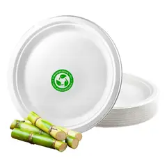 GENERICO - Platos biodegradables desechables 23 cm pack 100