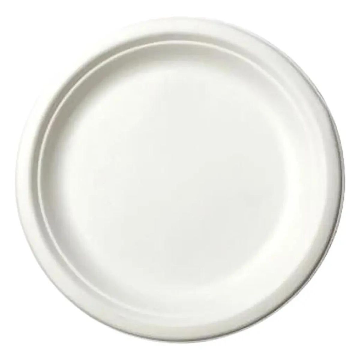 GENERICO - Platos biodegradables desechables 23 cm pack 100