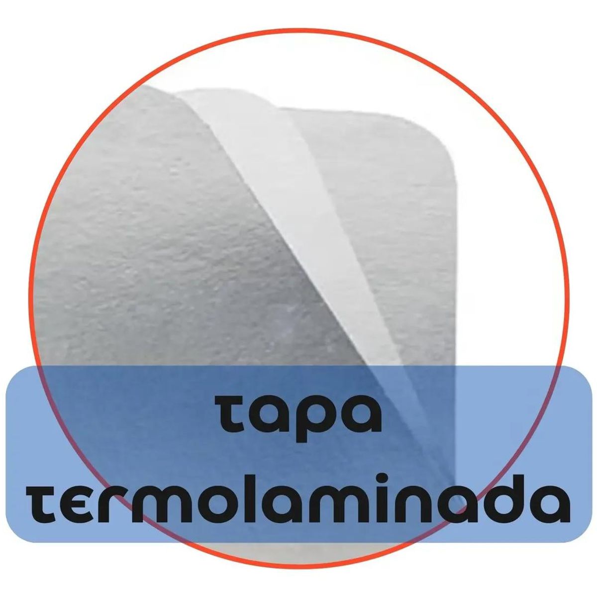 GENERICO - Envase aluminio con tapa termolaminada 100 unidades