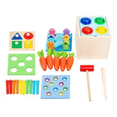 GENERICO - Juguete Montessori de Madera 5 en 1