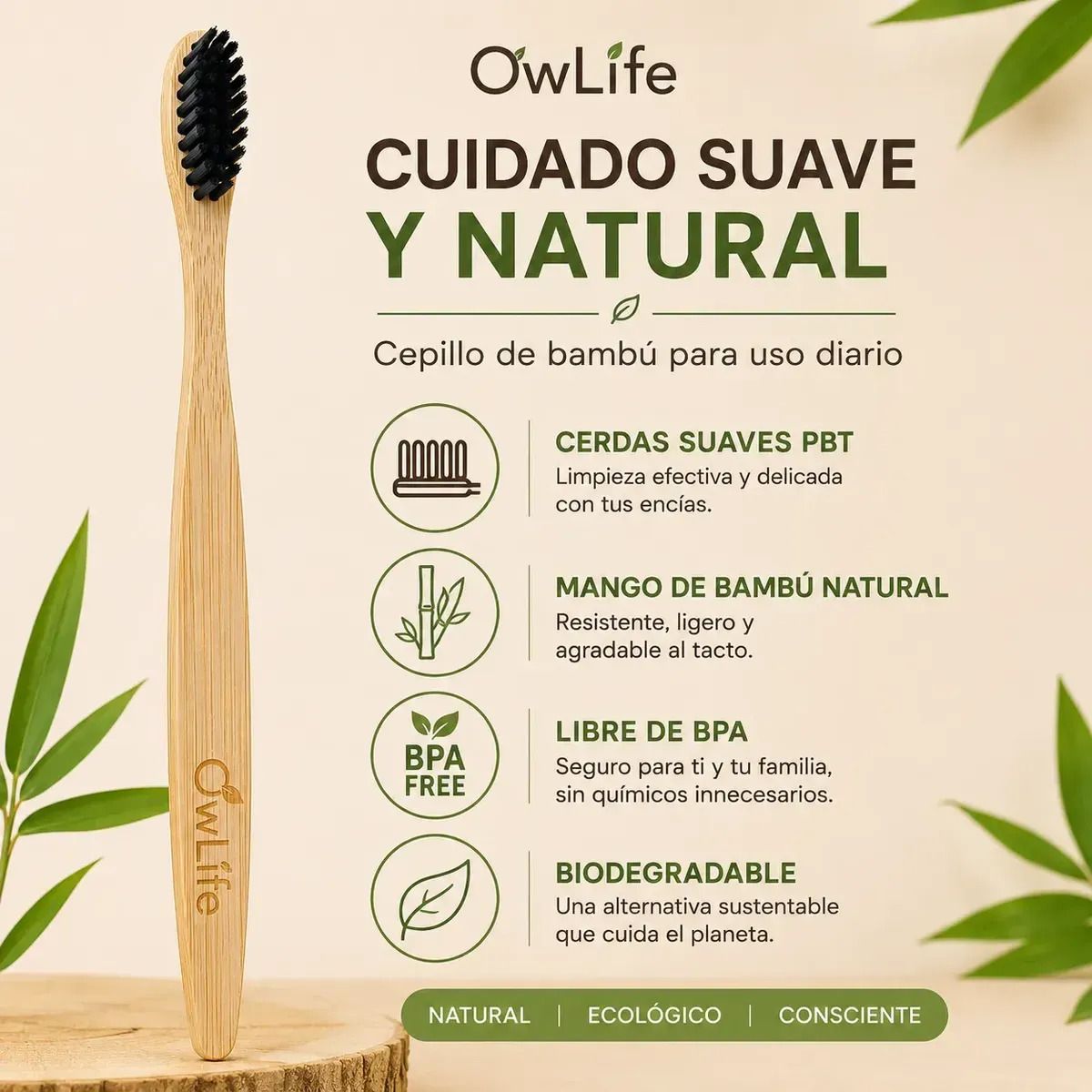 FLASHNOTE - Cepillo Dientes Bambu Owlife Cerdas Suave Biodegradable Libre Bpa Ecologico Negro