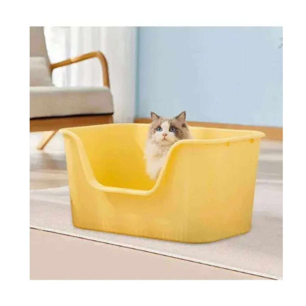 GENERICO - Arenero Gato Alto Anti Salpicaduras Con Pala Baño Mascota Mediano