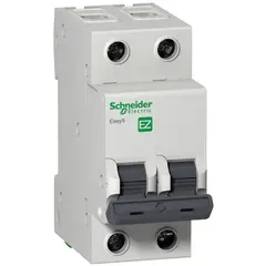 SCHNEIDER - Interruptor Automático 2P 10A C 6Ka Easy9