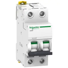 SCHNEIDER - Interruptor Automático 2P 63A C 10Ka Ic60N Acti9