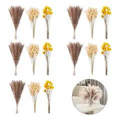 GENERICO - Set 450 Piezas Flores Secas Pampas y Cola de Conejo