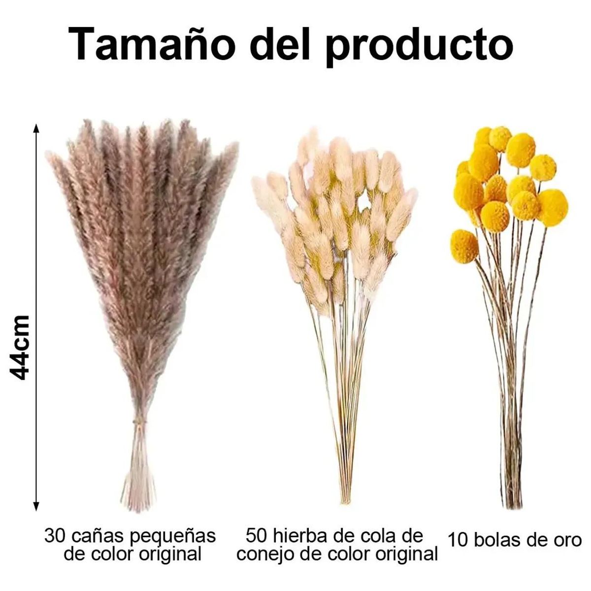 GENERICO - Set 450 Piezas Flores Secas Pampas y Cola de Conejo