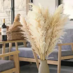 GENERICO - Ramo de 10 Pampas Secas con Varas y Colas de Zorro