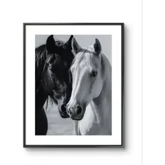 GENERICO - Cuadro decorativo caballos cruzados 52x42 cm