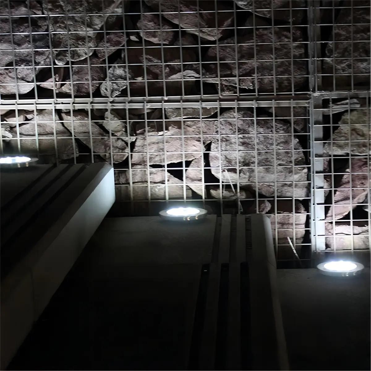GENERICO - Pack de focos solares LED con estaca para jardín luz fría
