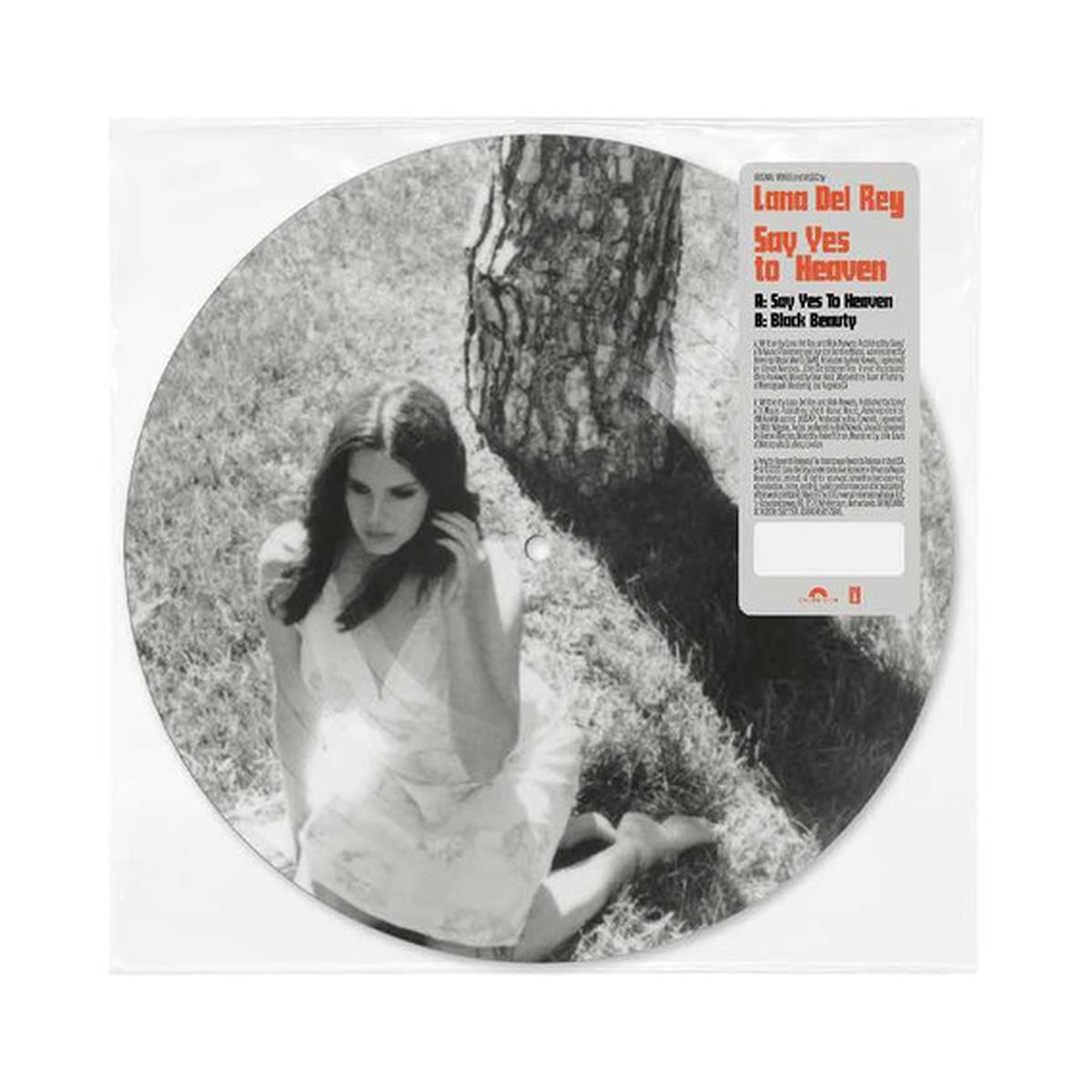 GENERICO - Lana Del Rey - Say Yes To Heaven - Vinilo 7 Picture Disc