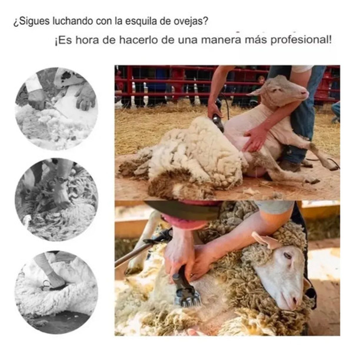 GENERICO - 900w Maquina Esquiladora Cortadora Eléctrica De Lana Ovejas