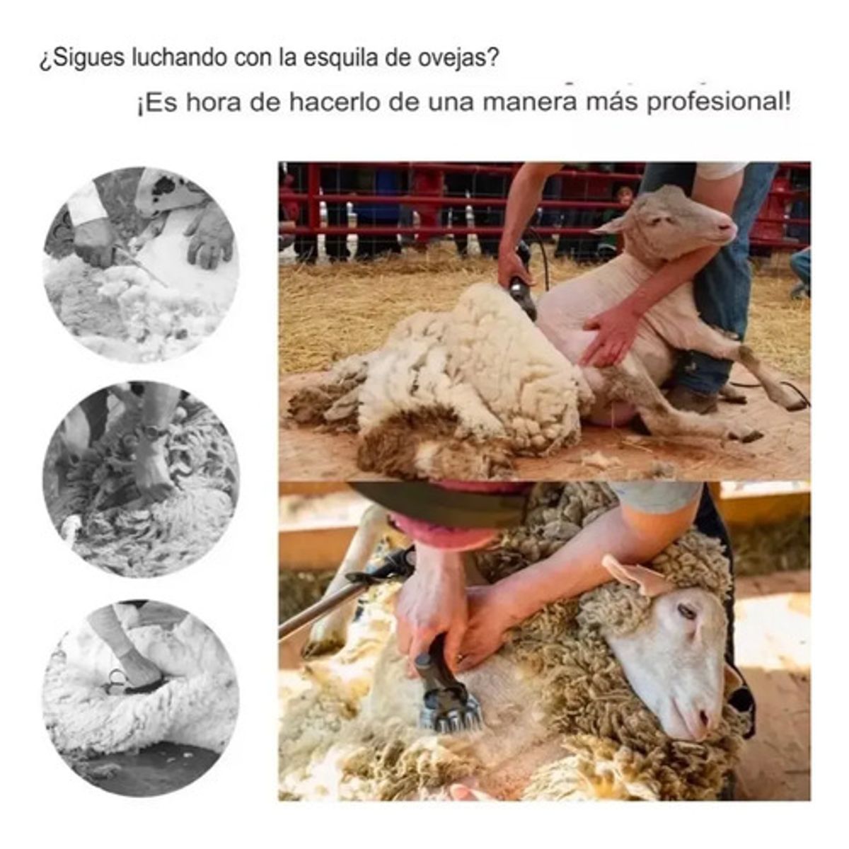GENERICO - 900w Maquina Esquiladora Cortadora Eléctrica De Lana Ovejas
